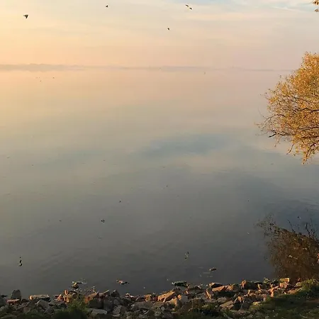 Lovely In Lembruchduemmer